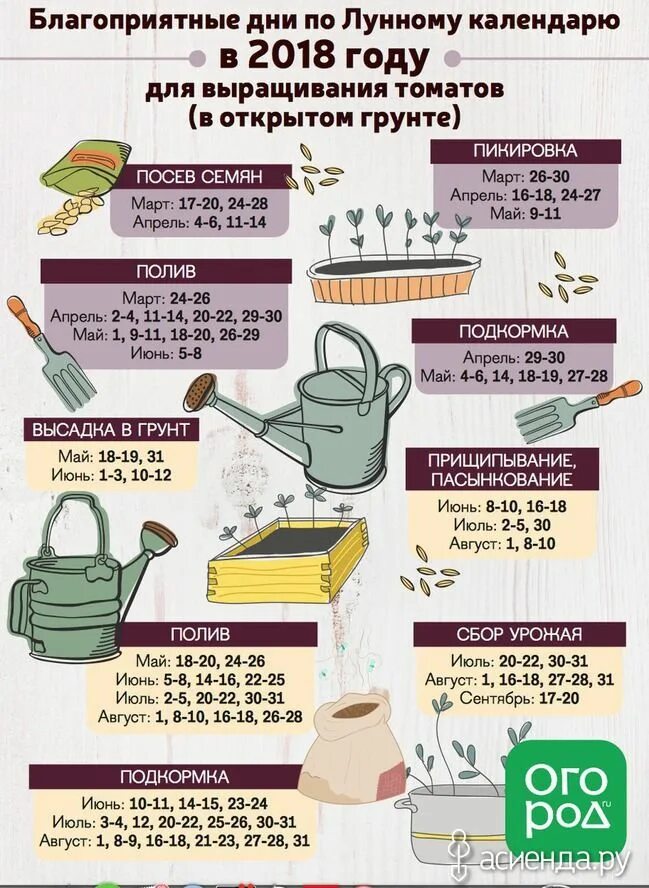 Март календарь рассады. Календарь рассады. календарь выращивания рассады своими руками. календарь рассады на 2025. расширенный календарь рассады.