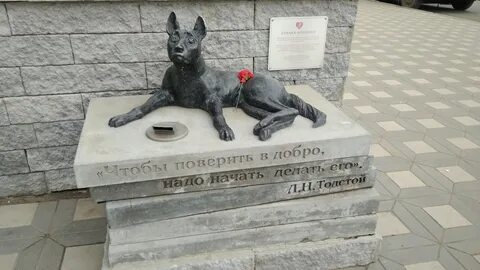 Собаки киров