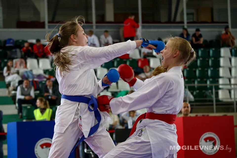 Проведение соревнований. Чемпионат по карате. Карат до октябрской революции. Каратэ. Каратэ до.