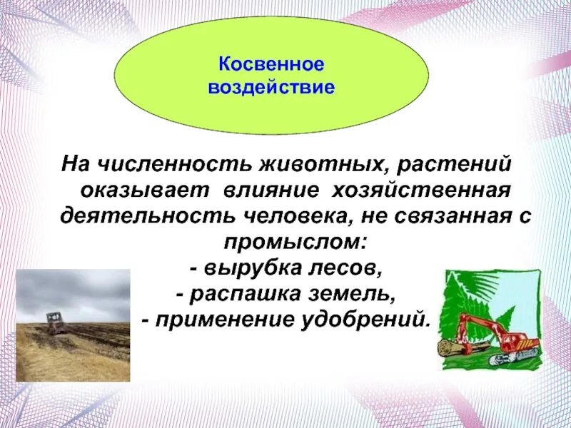 Косвенное влияние примеры. Косвенное воздействие человека на растения. Косвенное воздействие животных на растения. Влияние растений на жизнь человека. Прямое воздействие человека на животных.