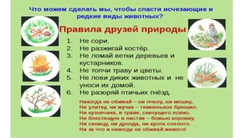 2 3 правила природы. Пять правил друзей природы. памятка друзей природы. правила друзей природы 2. сформулировать правила друзей природы.
