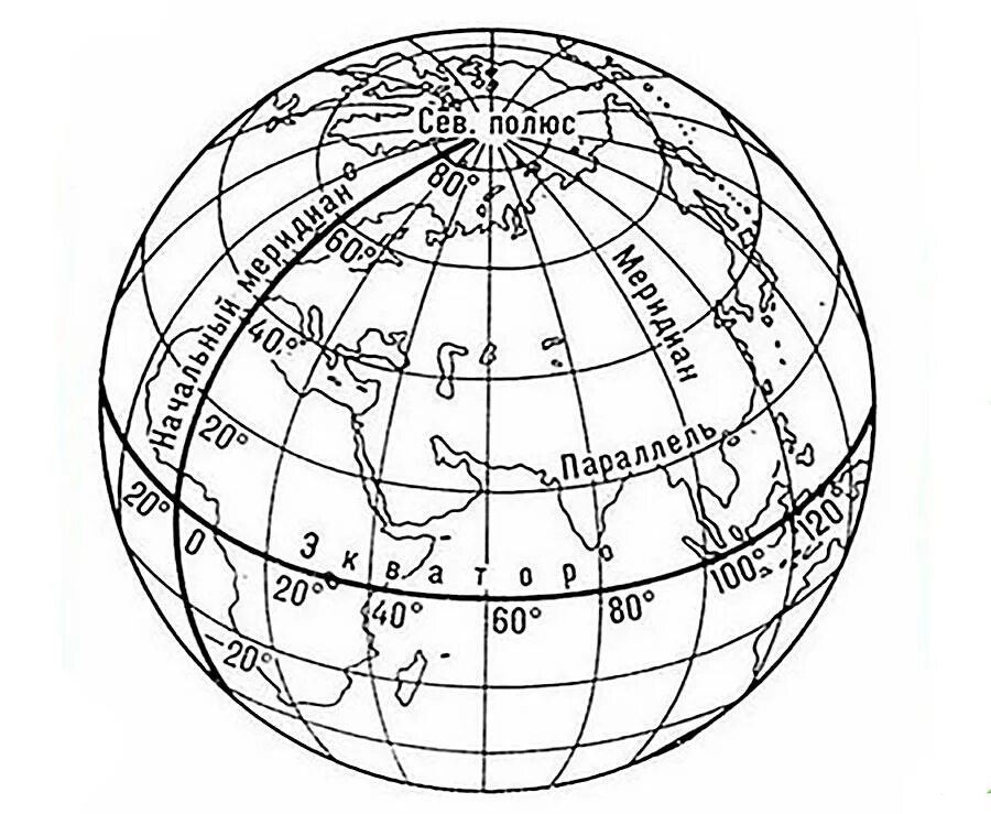 Как определить направление на глобусе. Параллели меридианы градусная сеть широта долгота. Меридиан параллель полюс Экватор на глобусе. Глобус параллели и меридианы градусная сетка. Градусная сеть глобуса географические полюса.