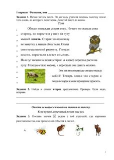 Проверочная работа по разделу братья наши меньшие