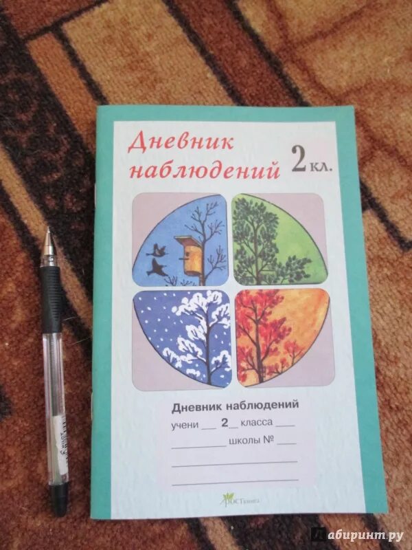 Ведение дневников наблюдений. Дневник наблюдений. Дневник наблюдений 1 класс. Дневник наблюдений книга. Дневник наблюдений обложка.