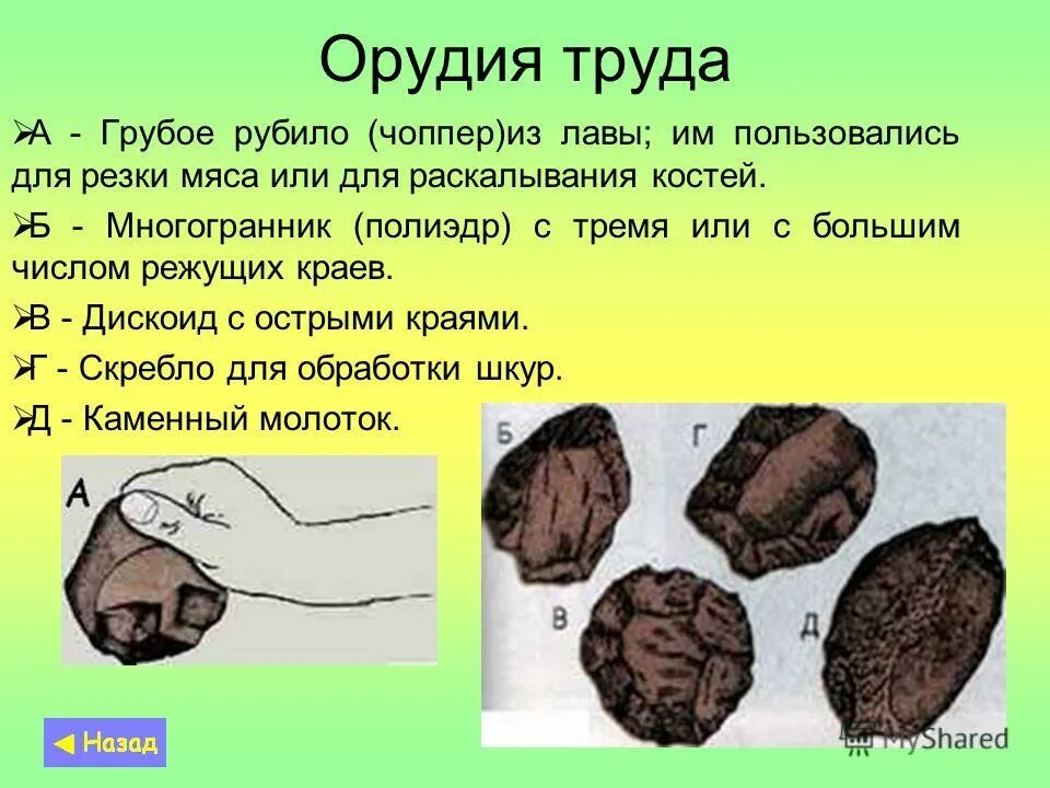 Человек умелый орудия труда. Орудия трада человека умелого. Homo habilis орудия труда. Человек умелый первые орудия. Рубила применение