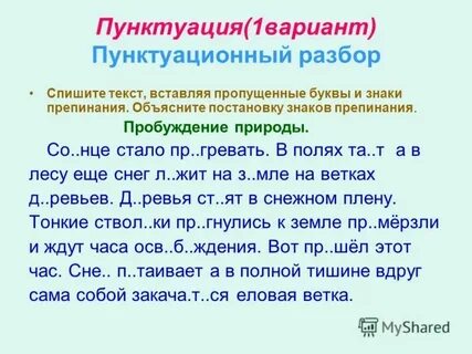 Стань разбор