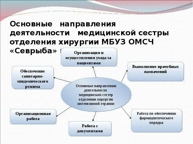 Направления деятельности медицинской сестры. Основные направления деятельности медсестры. Основные направления деятельности главной медицинской сестры. Основные направления деятельности медицинского персонала.