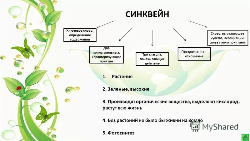 Синквейн на тему растения. Синквейн на темуфотосинтоса. Как составить синквейн по биологии. Синквейн на тему фотосинтез. Синонимы термина минеральное питание в ботанике