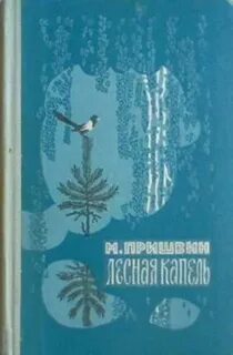 Капель м