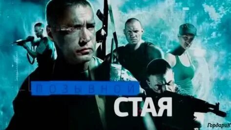 Позывной стая телефон