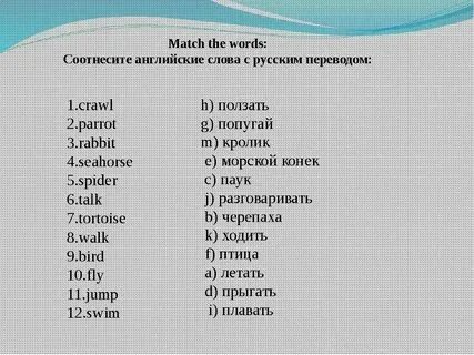 Яркий перевод на английский