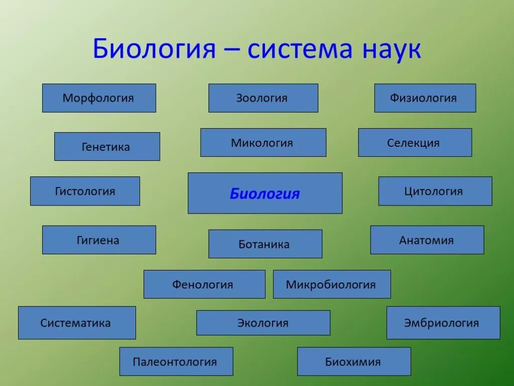 Что изучают по биологии по классам