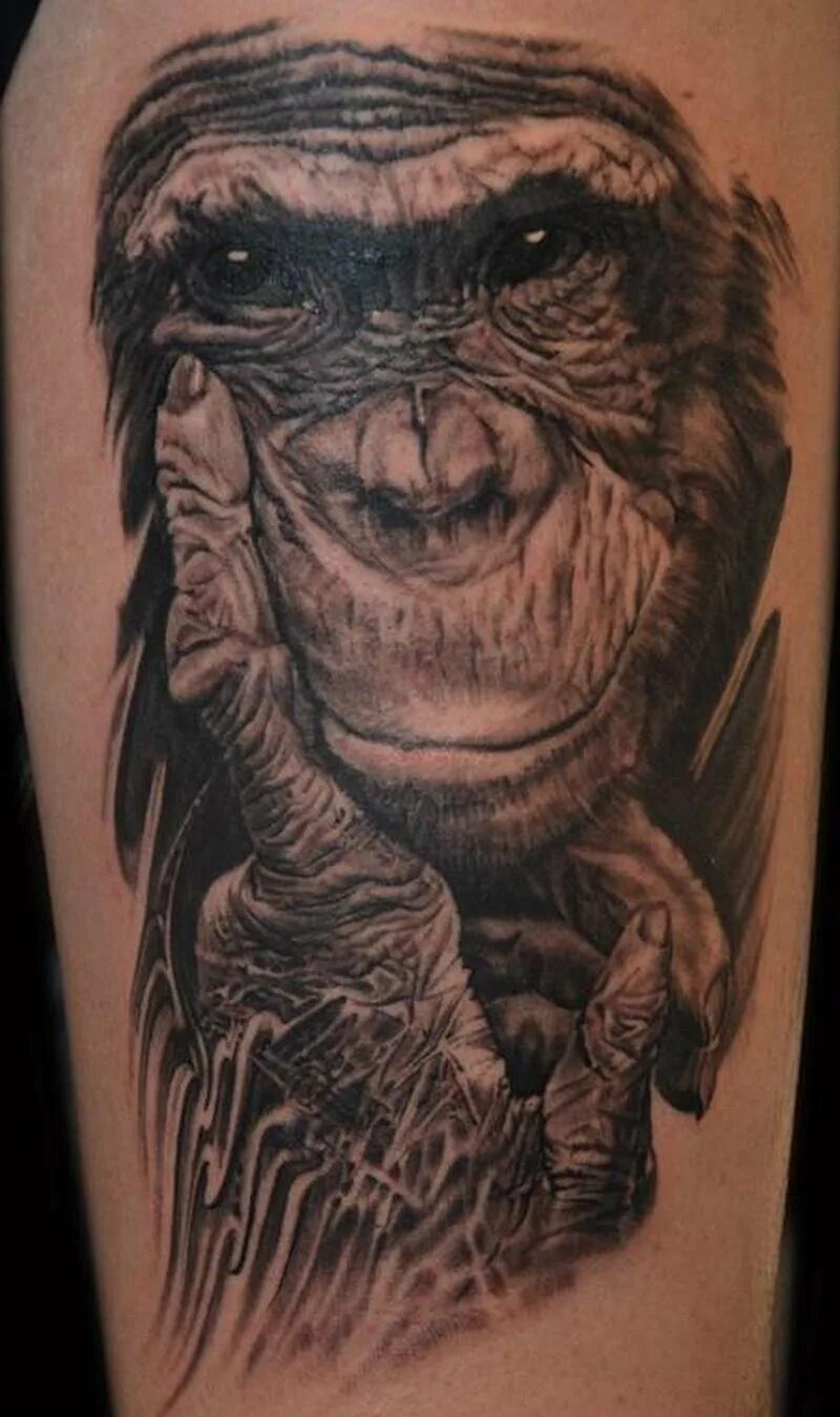 тату обезьяны мужская. тату горилла. тату обезьянка для девушки. тату обезьяны на руке мужские. тату обезьяна значение.