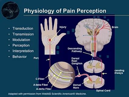 You turned off the pain setting