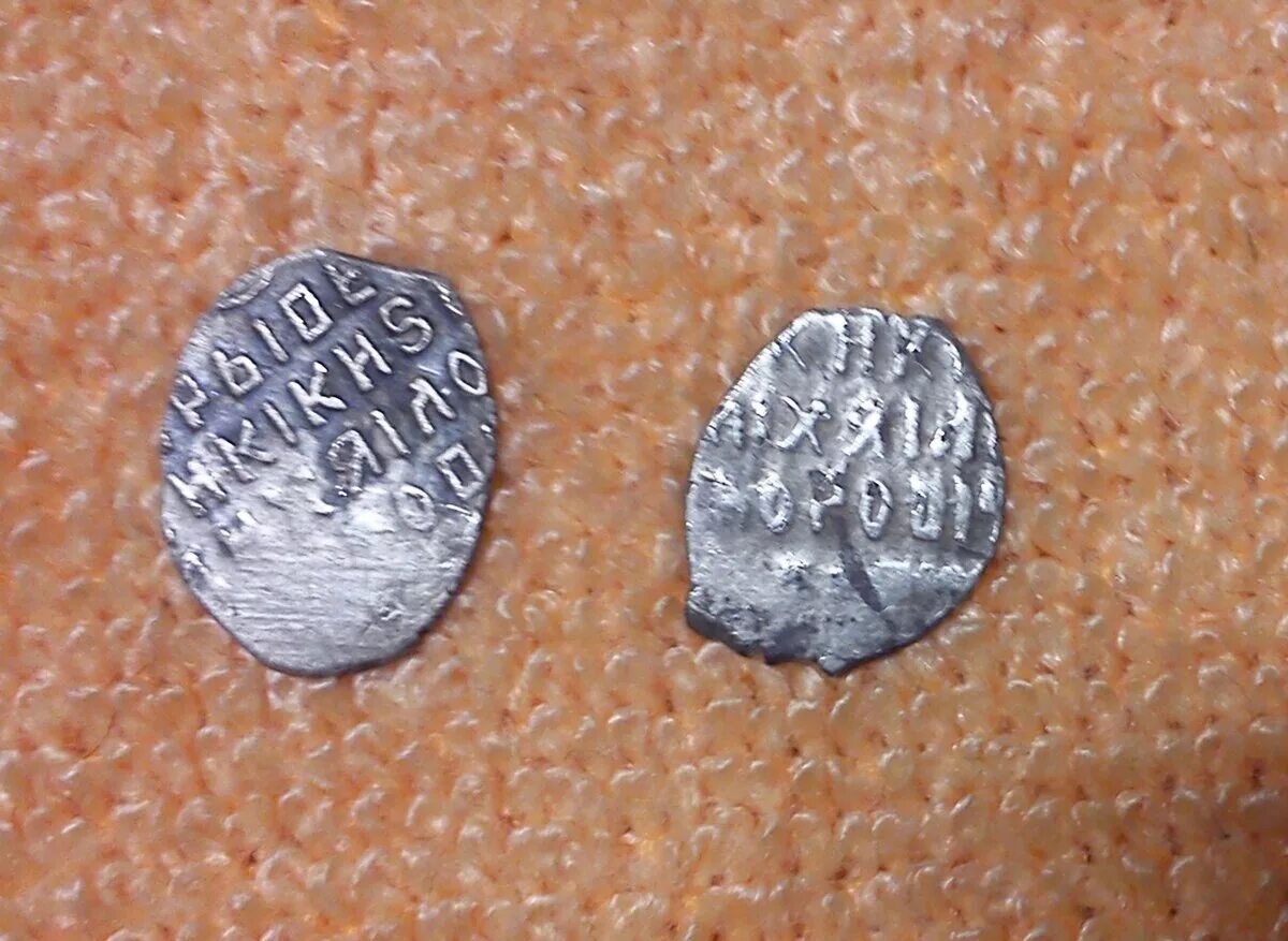 Строение чешуи щуки. Костная чешуя строение. Тип чешуи у костных рыб. Чешуя какая. Чешуя федорович.