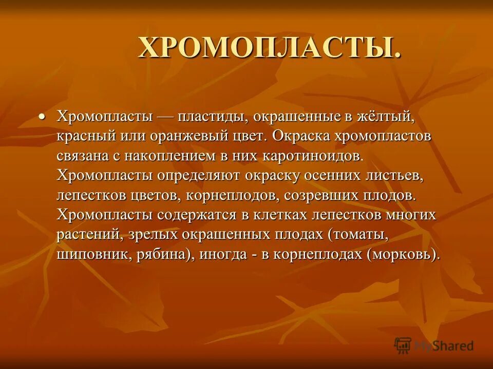 Хромопласт содержит каротиноиды. Хромопласт содержит каротиноиды
