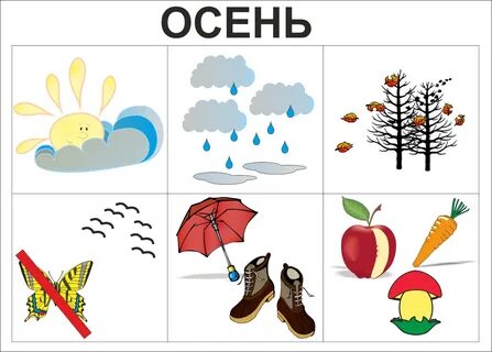 Развитие речи старшая октябрь