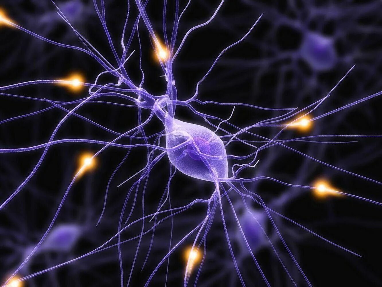 Электрический Импульс в нейронах. Нервная система человека Нейрон. Нервный Импульс в нейронах. Клетка нейрона. Нервные узлы и нейрон