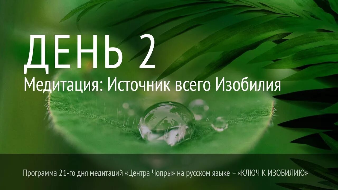 Марафон изобилия Дипак Чопра. Марафон изобилия Дипак Чопра 21 день. 21 День изобилия Дипак Чопра медитации. Дипак Чопра медитации на изобилие.