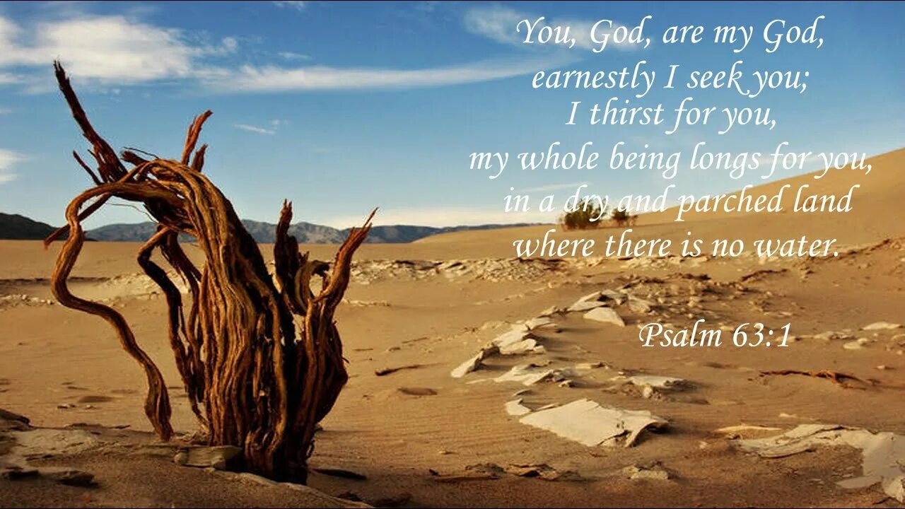 Юэн макгрегор иисус. Рено дастер в пустыне. Kenshi пустынная. Into the desert. Al qudra cycle.