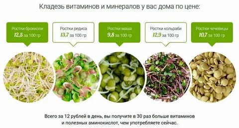 Температура для микрозелени