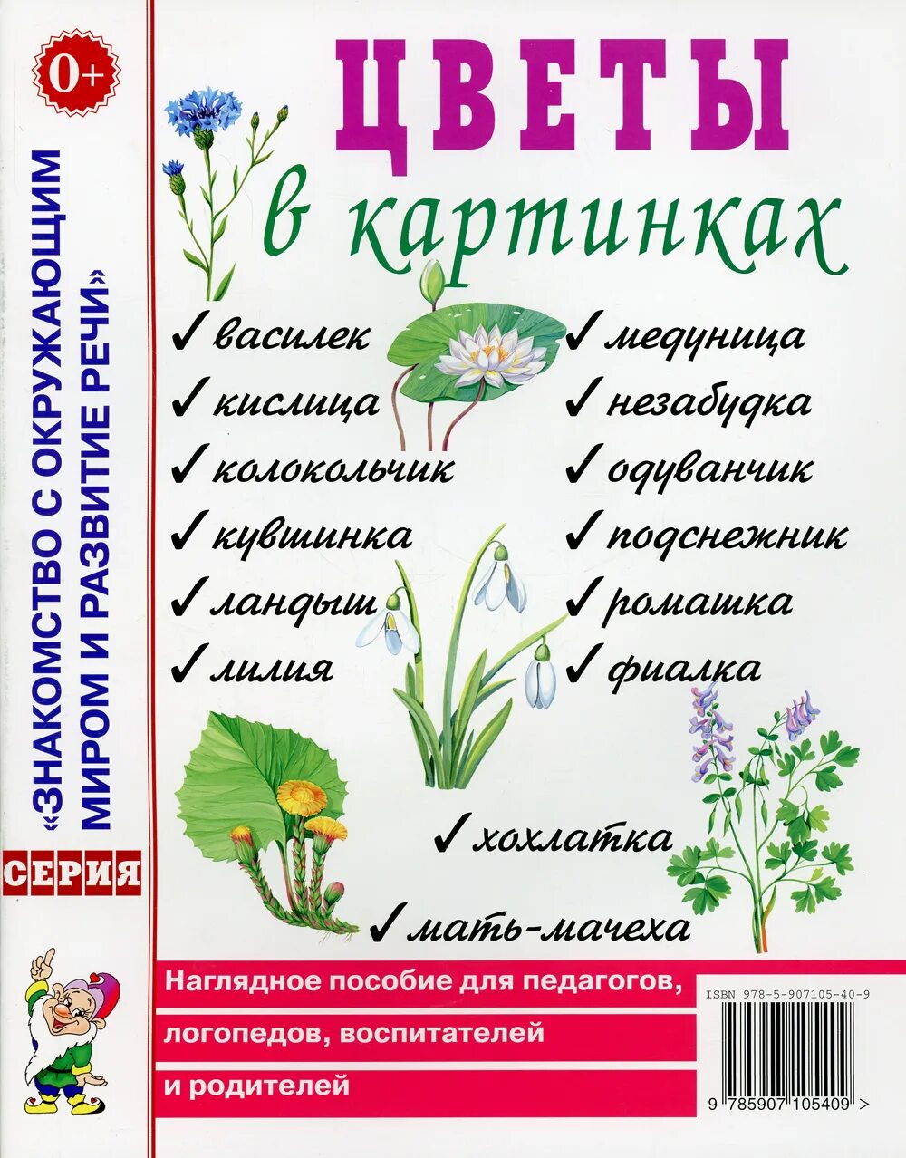 Наглядные пособия цветы. Наглядное пособие для педагогов логопедов воспитателей и родителей. Наглядное пособие для воспитателя. Цветы наглядное пособие для детей. Пособие логопеда для родителей