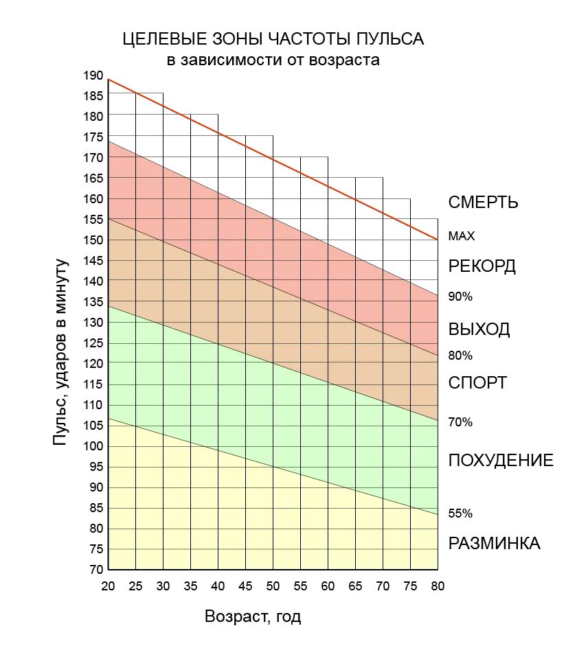 Зоны пульса Polar. Целевая зона пульса. Пульсовые зоны по возрасту. Кардио тренировка пульсовые зоны. Какой максимальный пульс может быть