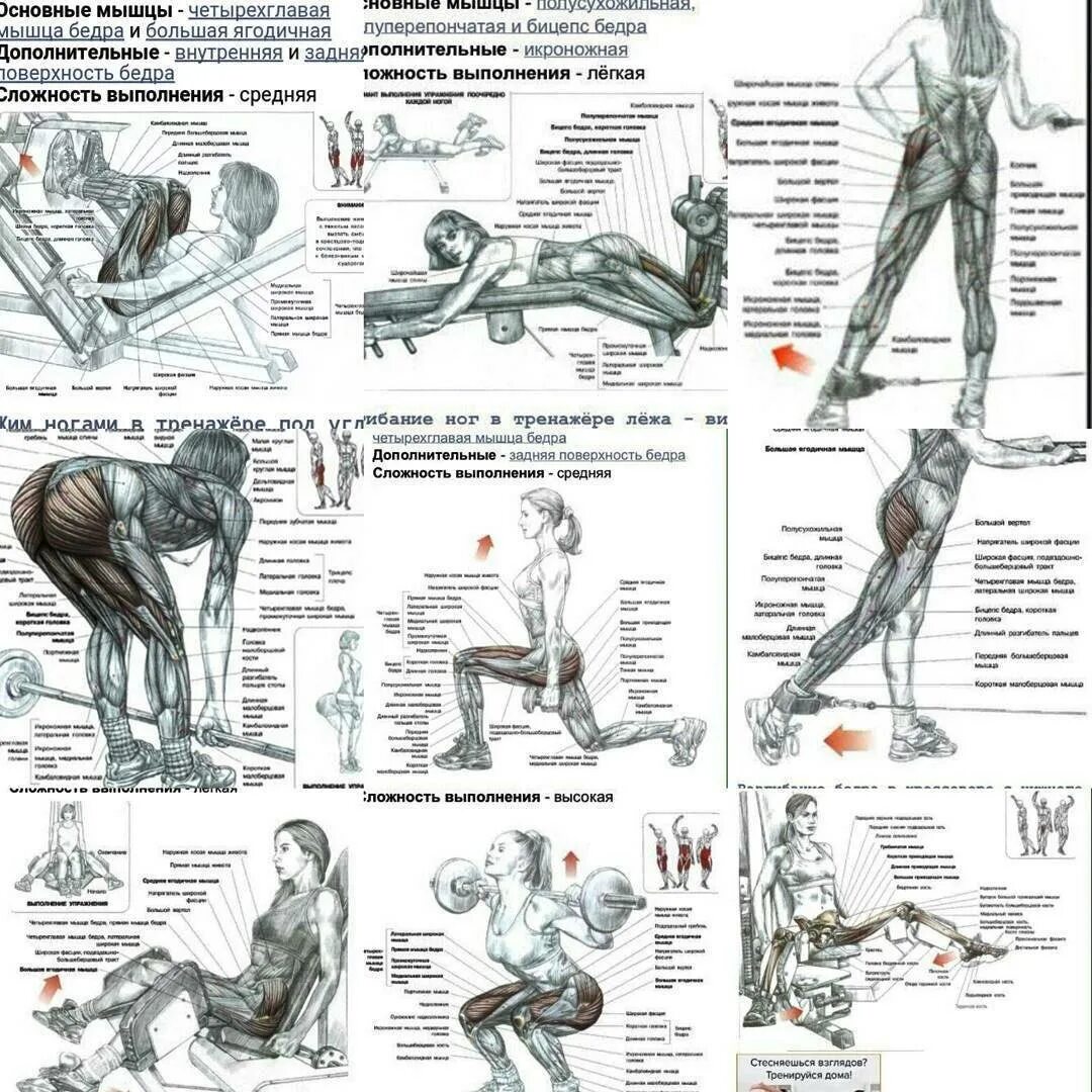 Какие упражнения для развития мышц. Упражнения для накачивания четырехглавой мышцы бедра. Упражнения на ягодичные мышцы в тренажерном зале. Упражнения для квадрицепса бедра в тренажерном зале. Четырёхглавая мышца бедра упражнения для укрепления.