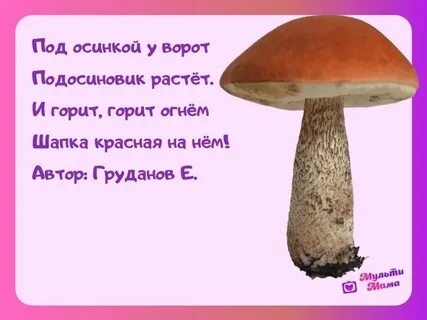 Стихи про грибы короткие