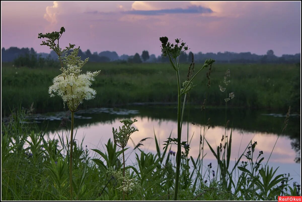 Июль природа. Июль макушка лета. Июль макушка лета Твардовский. Июль картинки. Июль макушка лета твардовский анализ