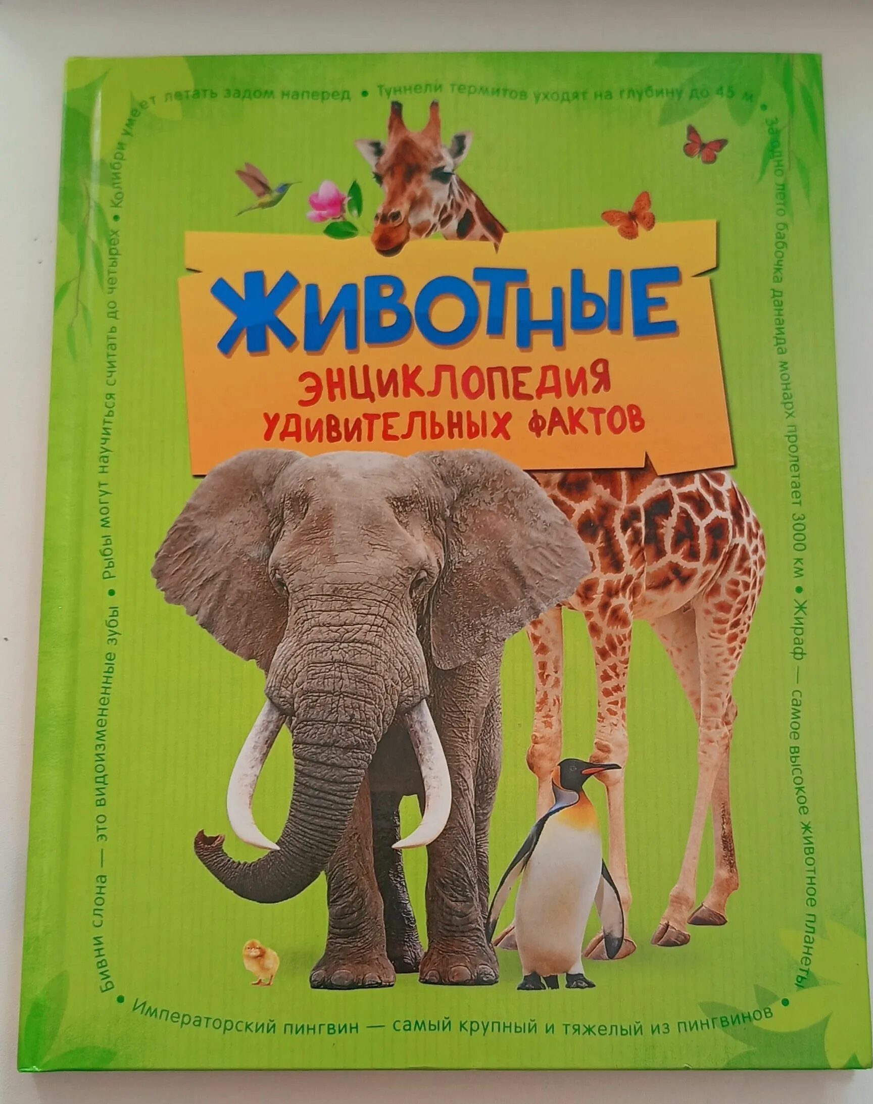 Удивительные энциклопедии. В мире знаний. Энциклопедия животных для детей. Занимательная астрономия. Энциклопедия удивительных животных семи бейли.