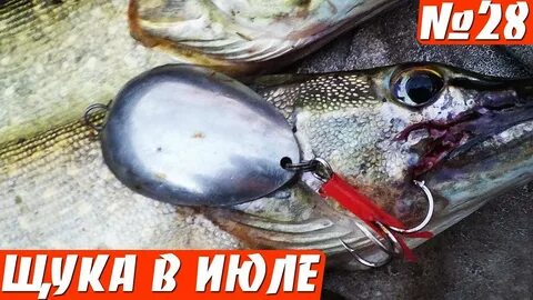 Приманки на щуку осенью на реках