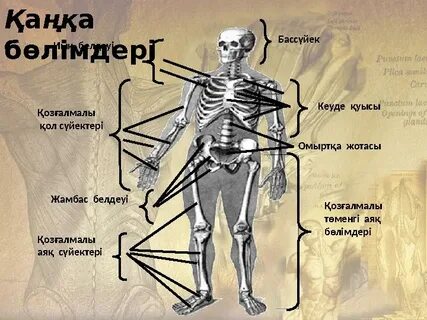 Эротикалық фотосессиялар қалай түсіріледі