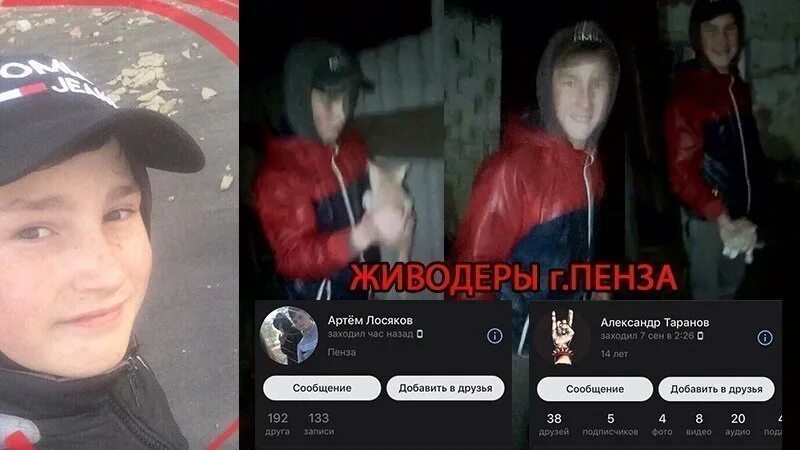 Кто такой живодер. Петиция наказать живодеров.