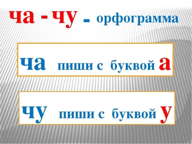 Картина орфограмма. Ча Чу правило. Правило с буквой ч. Ча и Чу 1 класс презентация. Урок чтения буква ч.