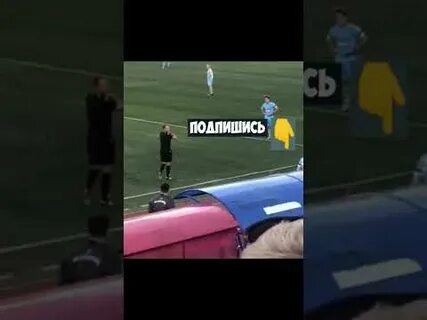 Литвин ударил фаната