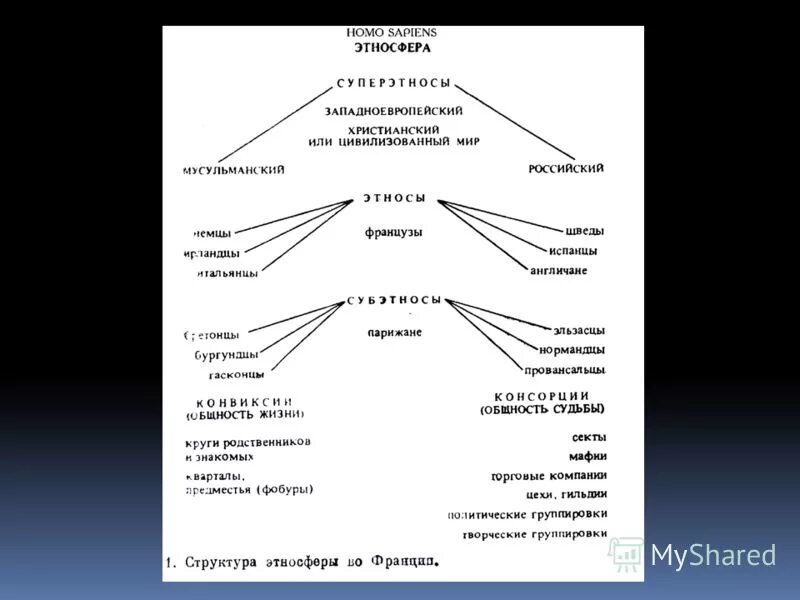 Суперэтнос. Структура этносферы по Гумилёву. Структура этноса по Гумилеву. Этнические системы Гумилева. Теории этноса по Гумилеву.