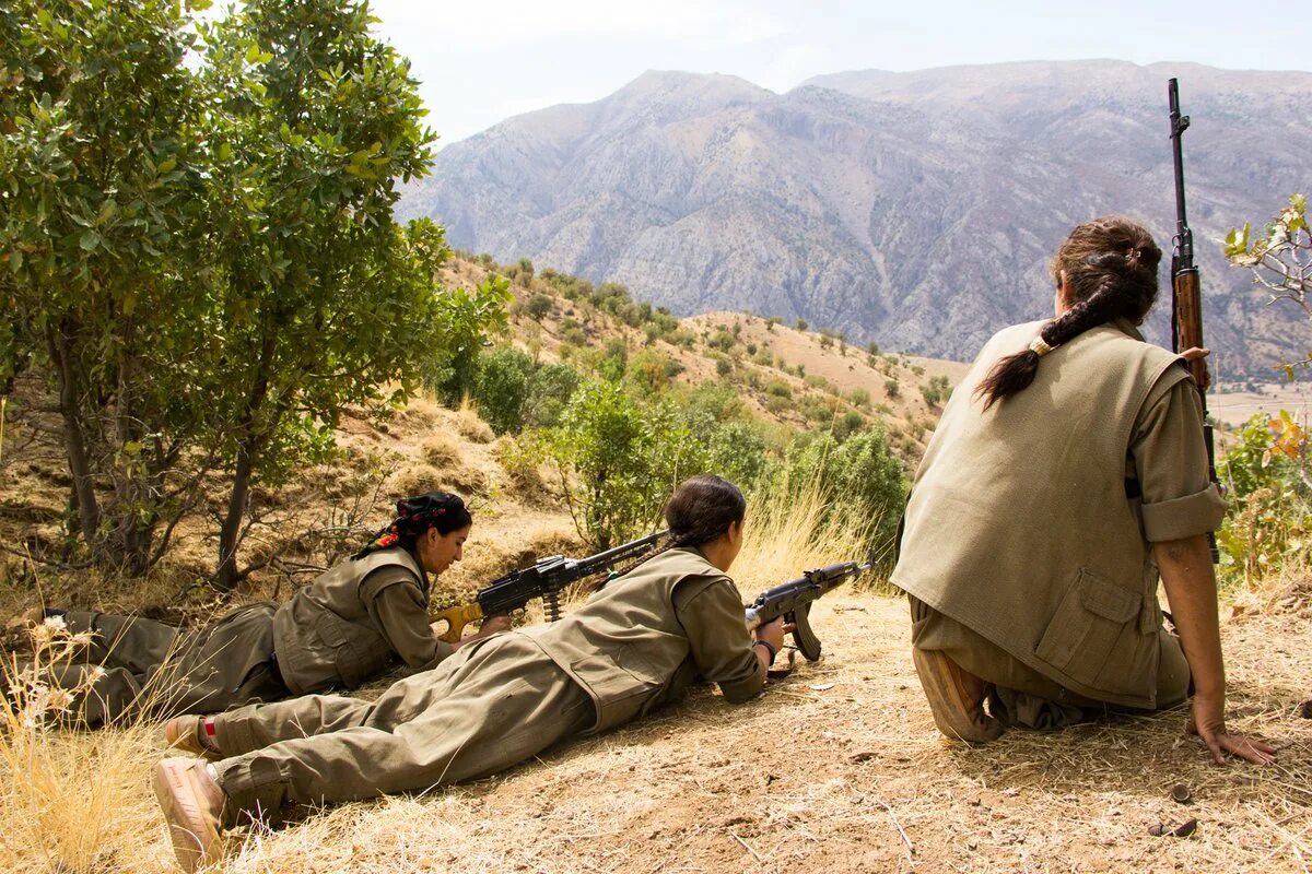 Pkk search