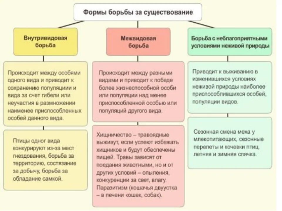 Формы борьбы за существование. Формы межвидовой борьбы за существование. Формы борьбы за существование схема. Внутривидовая межвидовая борьба с неблагоприятными условиями. Межвидовая форма борьбы за существование примеры.