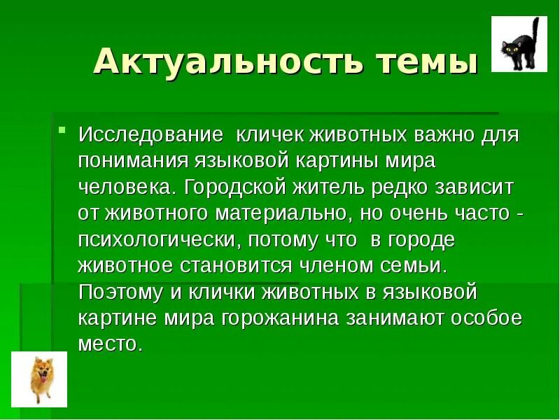 Что такое зооним. Зоонимы. зоонимы в произведениях. актуальность темы животные. слова зоонимы.