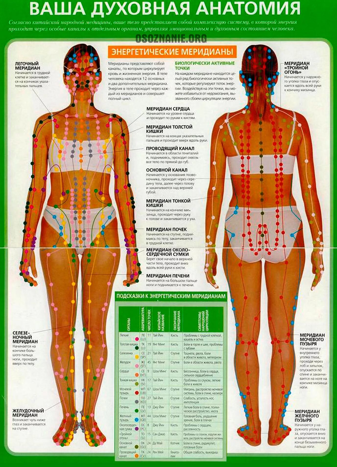 Названия точек человека. Энергетические меридианы человека китайская медицина. Меридианы на теле человека схема китайская медицина. Энергетические меридианы тела человека схема. 12 Энергетических меридианов человека.