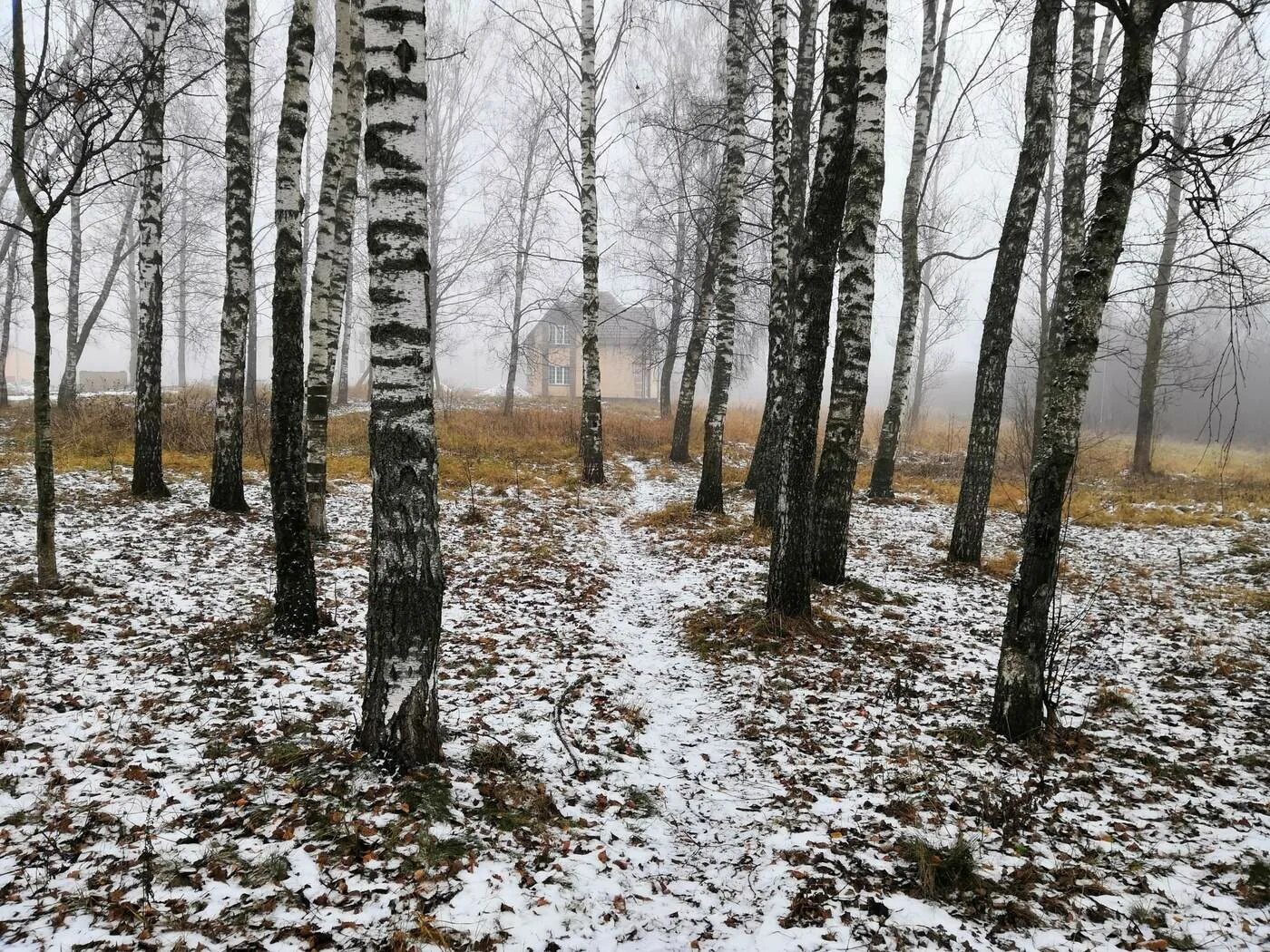 Картинки поздней. Поздняя осень. Предзимняя осень. Предзимний лес. Поздняя осень в Орле.