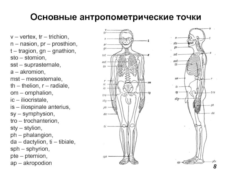 Главная точка. Антропометрические точки человека. Основные антропометрические точки тела человека. Антропометрические точки туловища. Антропометрические точки фигуры человека для снятия мерок.