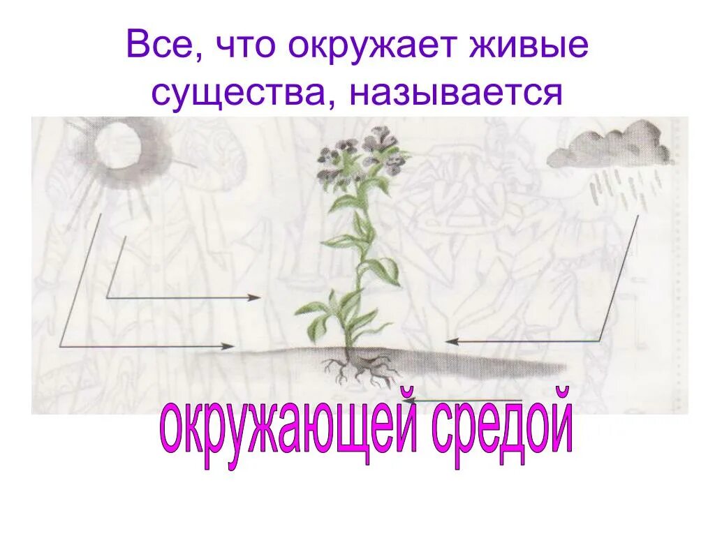 Все что окружает живые существа называется. Всё что окружает живое существо. Все что окружает живые существа называют 2 класс. Закончи предложение всё что окружает живые существа называют.