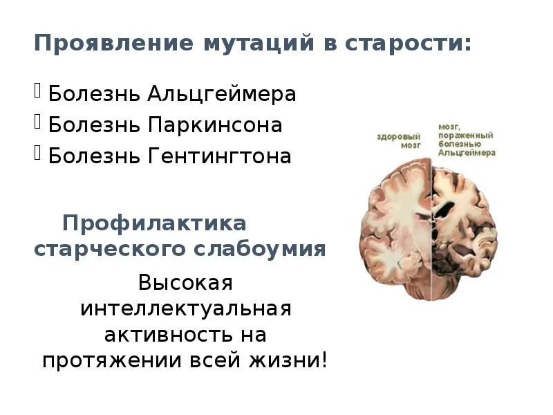 Болезнь Альцгеймера и Паркинсона. Болезнь Паркинсона болезнь Альцгеймера.