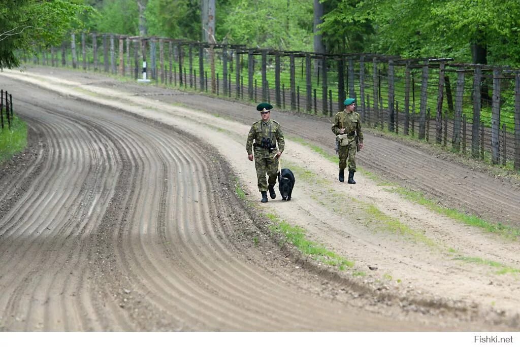 Усиление государственной границы. Контрольно следовая полоса на границе. КСП контрольно следовая полоса. Контрольно следовой полосы пограничной. КСП контрольно следовая полоса на границе.