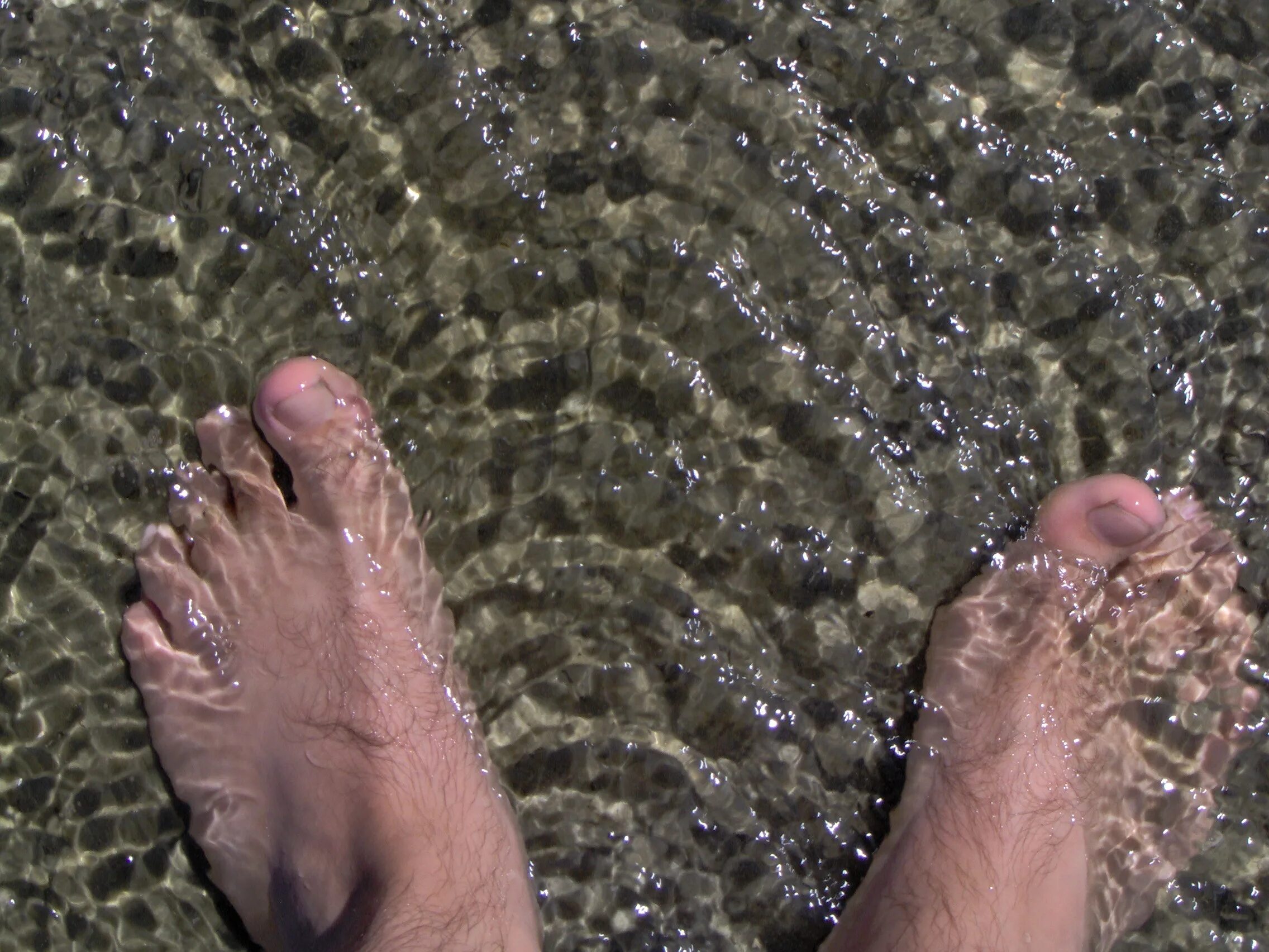 Дерево ногами в воде. Ноги в воде. Ступни в воде. Мужские ноги в воде. Мужские ступни в воде.
