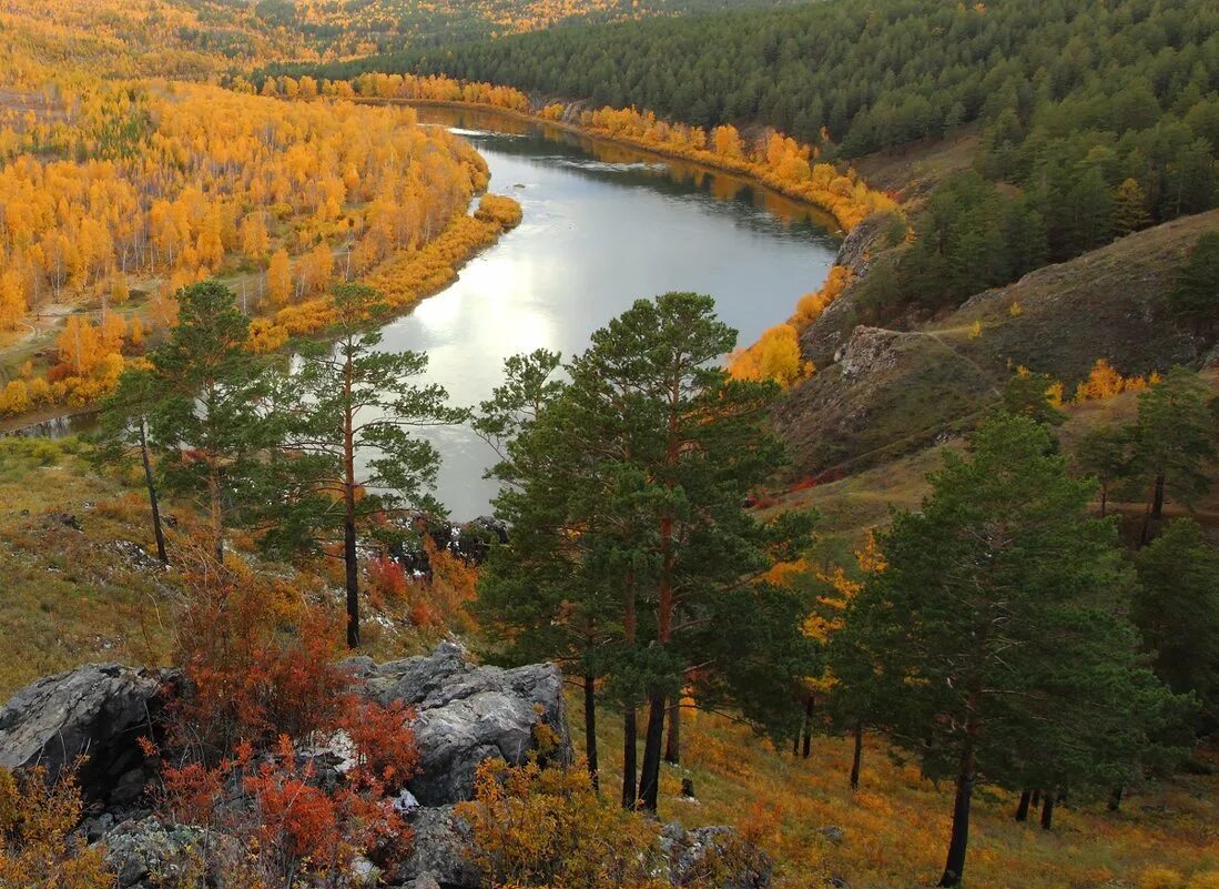 Река Ингода Забайкальский край. Забайкалье природа Ингода. Сухотино Забайкальский край Чита. Читинский Забайкальский край природа. Сибирские увалы это горы