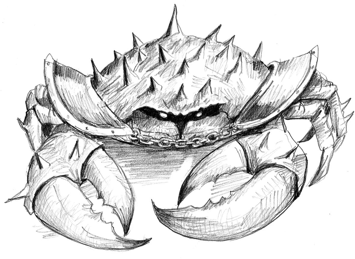 Драконы краб. Краб рисунок. Гигантский краб рисунок. Страшный краб нарисовать.