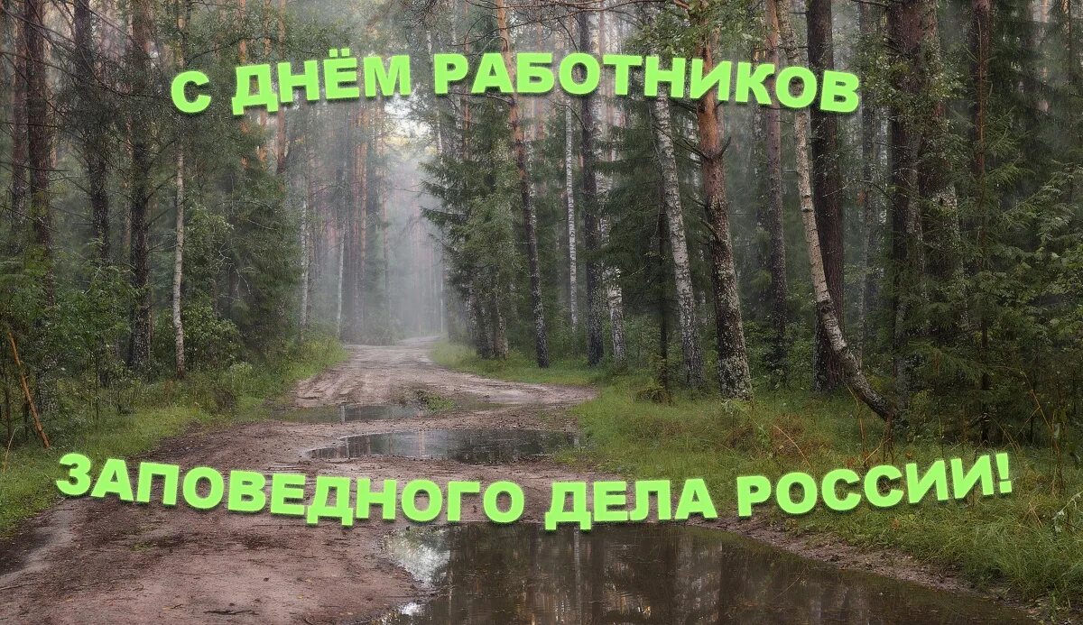 День работников заповедного дела 14 октября. Поздравление с днем заповедного дела. день работников заповедного дела поздравление. день работников заповедников.